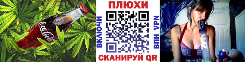 Купить закладки  Староминская  Cannafood конопля 