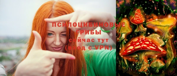 каннабис Майский